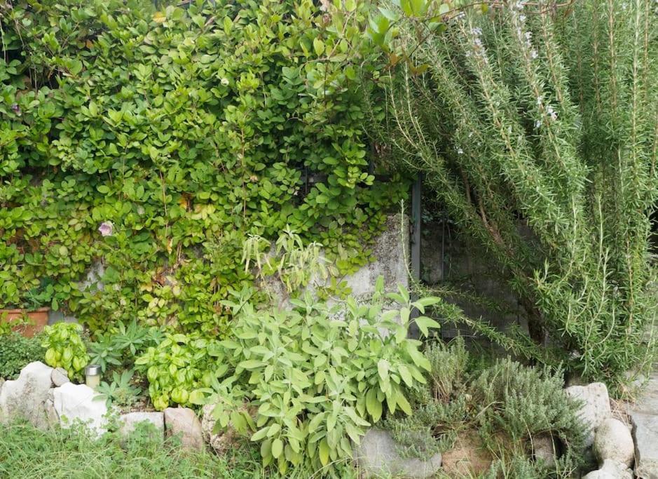La Tua Villa Sul Lago - Casa Kollegger 루이노 외부 사진